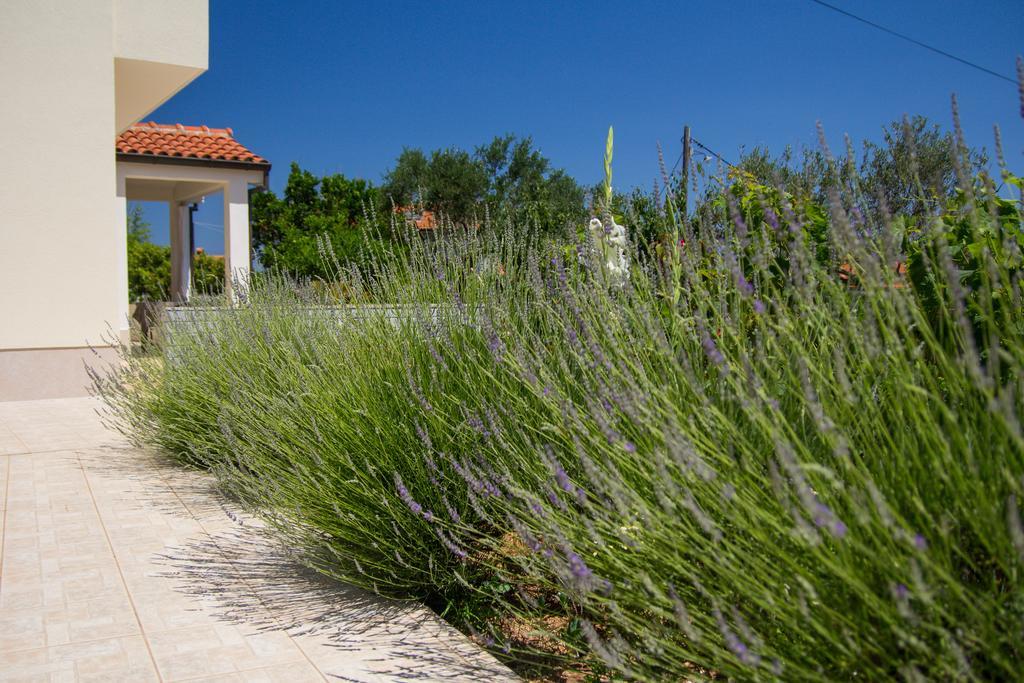 Apartmani Dorita Mali Lošinj Zewnętrze zdjęcie